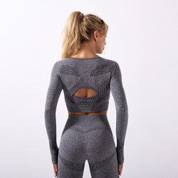 Crop Top High Waist 2 Pcs Seamless Yoga Set Sport Suit