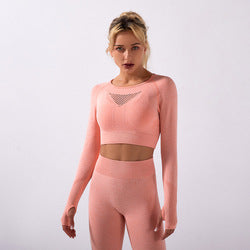 Crop Top High Waist 2 Pcs Seamless Yoga Set Sport Suit