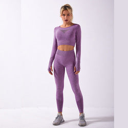 Crop Top High Waist 2 Pcs Seamless Yoga Set Sport Suit